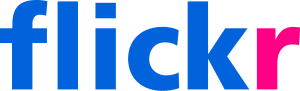 flickr logo 1 300x91 make your sales & leads sky rocket with our alt text & title text tips