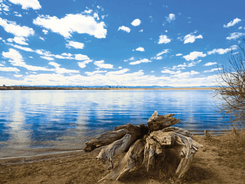 A large piece of driftwood rests on a sandy shore beside calm blue water, with a bright sky, scattered clouds, and distant hills or mountains in the background. Sparse vegetation grows near the shoreline.