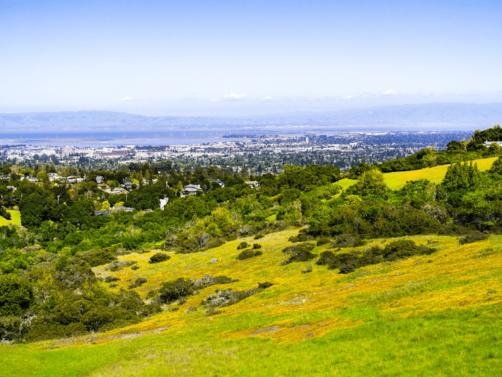 A vibrant green hillside dotted with yellow wildflowers overlooks a sprawling cityscape in the distance, with a bay and mountains under a clear blue sky.